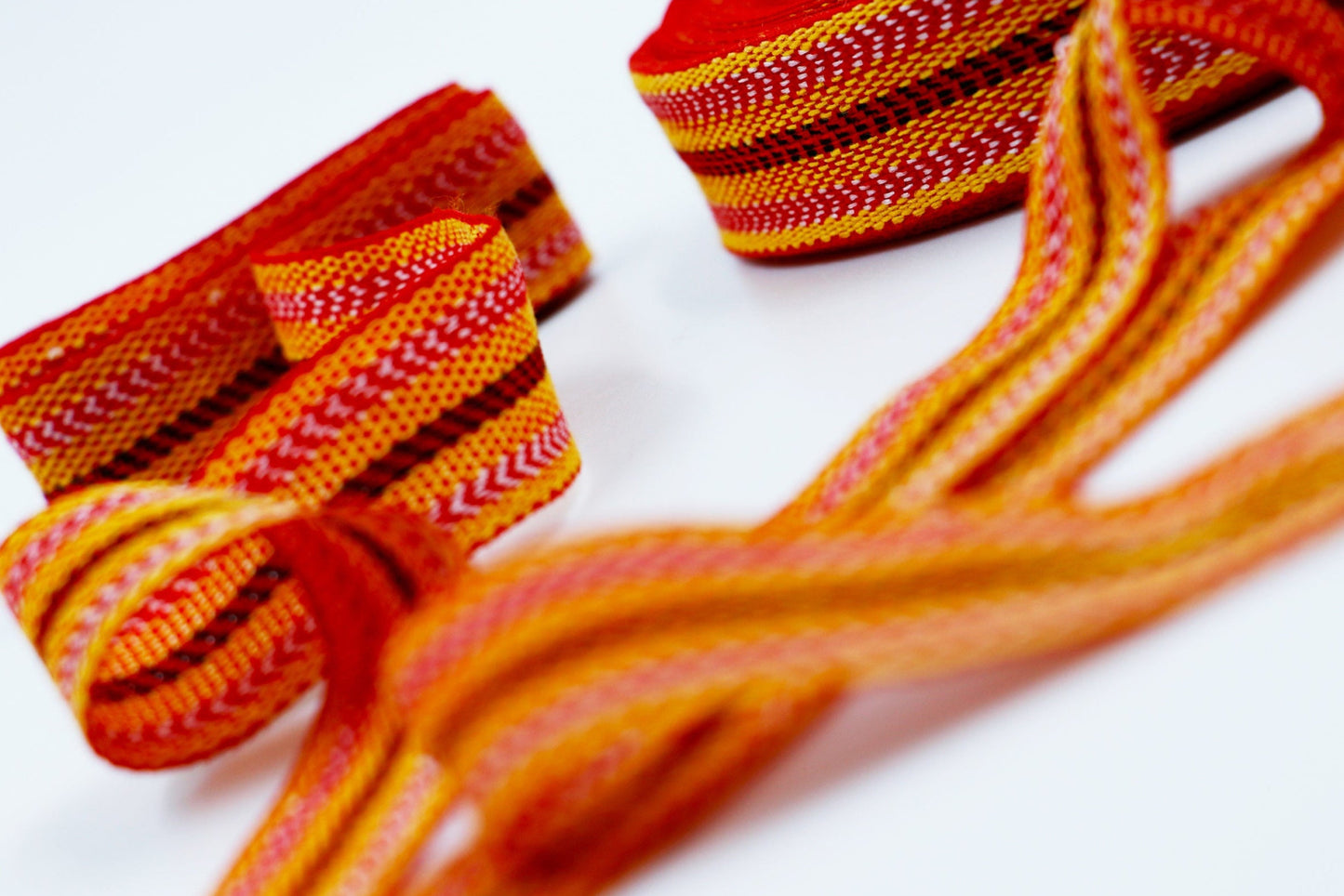 Paquete de revendedor: 100 Kardoune argelinos de 25 m (cortables)